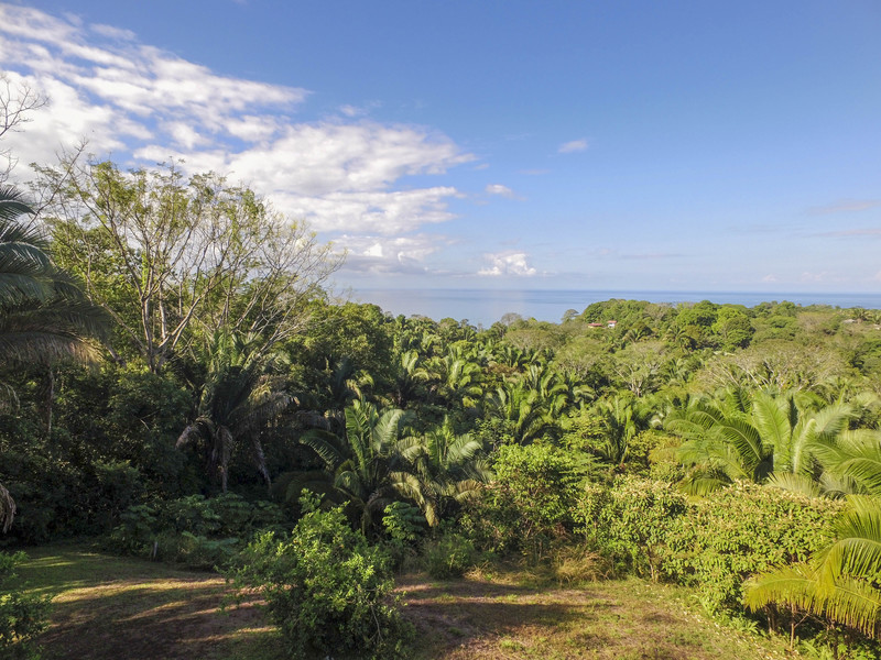 Land For Sale in Uvita Costa Rica